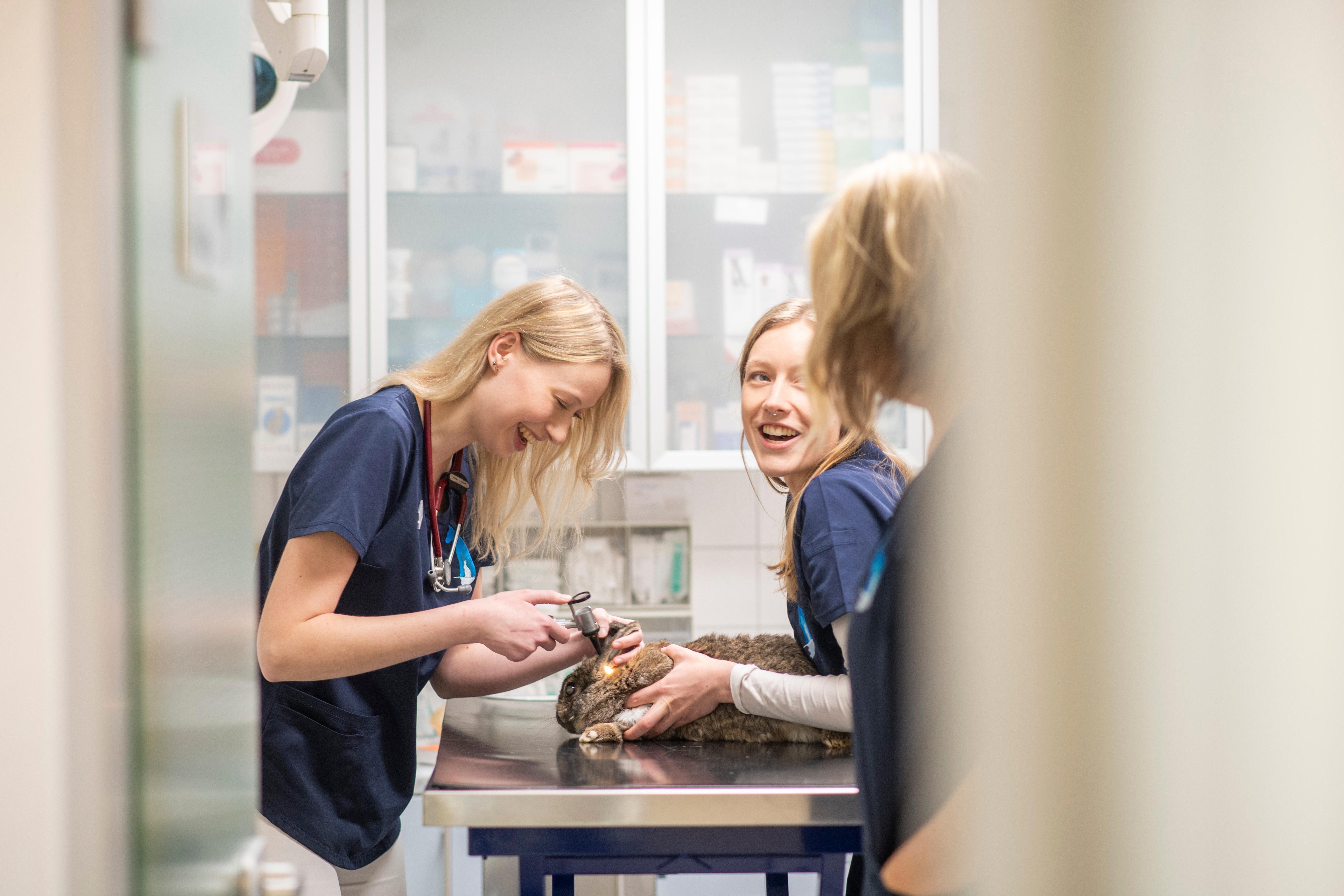 Cadomo Beteiligungs GmbH - unsere Vision